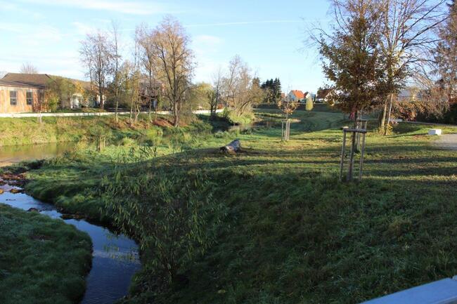 Grünzug Paar in Aichach