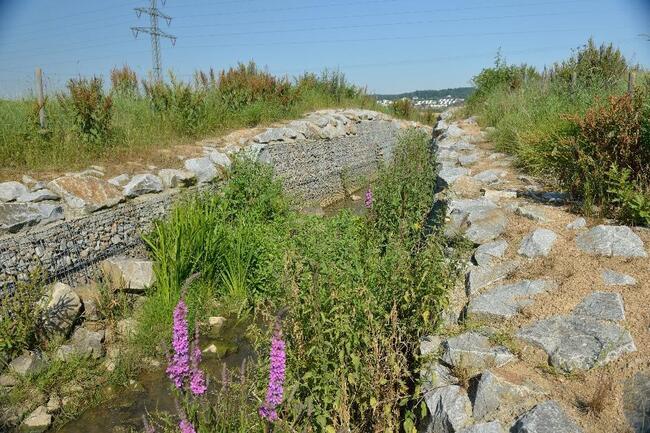 Krumbach vorbeugender Hochwasserschutz