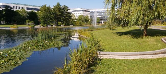 Wassersensibles Gewerbegebiet Garching