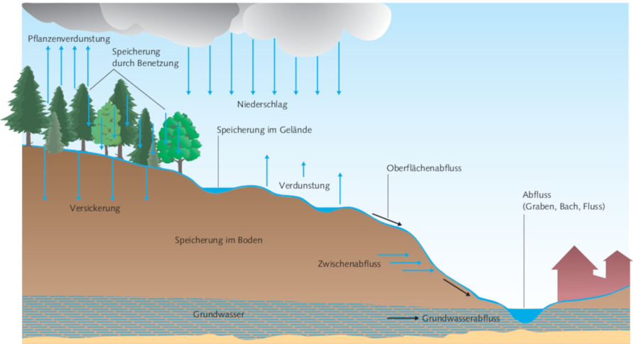 Schematische Darstellung der Grundwasserneubildung