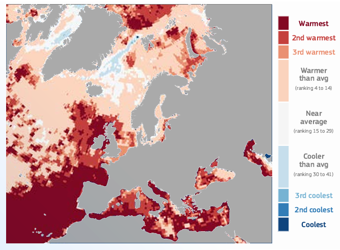 Ranking der jährlichen Mittel der Wasseroberflächentemperaturen 2023 (Referenzperiode: 1991–2020). Quelle: ESOTC.