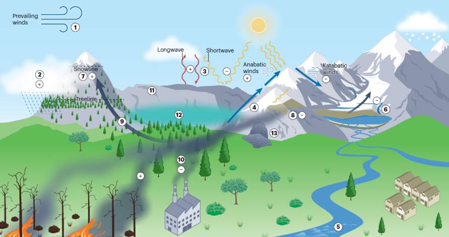 Schematische Darstellung von Prozessen, die mit höhenabhängigen Klimaveränderungen in Zusammenhang stehen. Wenn Veränderungen überwiegend in eine Richtung gehen, werden diese mit + und – für positive bzw. negative Veränderungen gekennzeichnet.